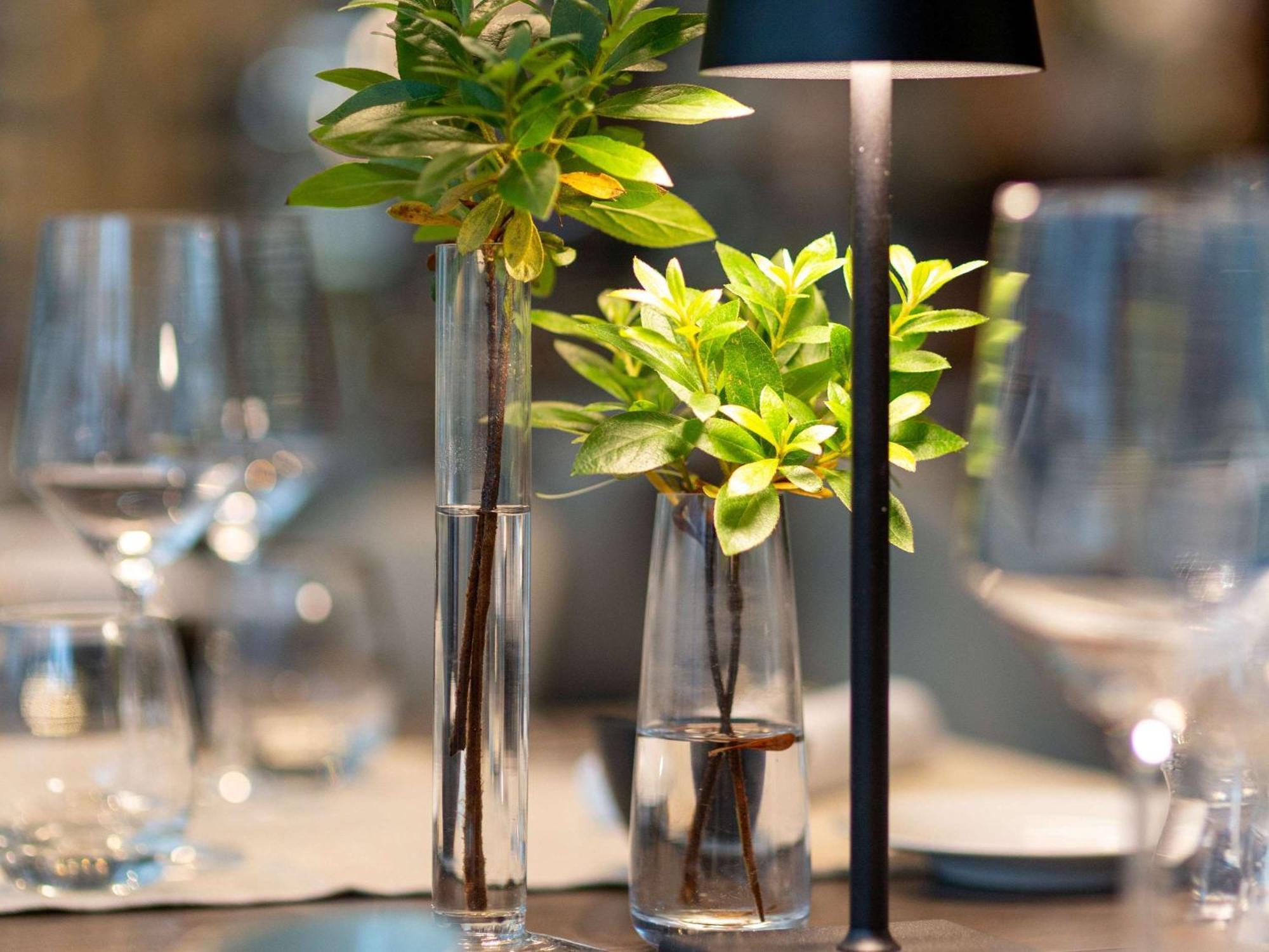 Hotel Novotel Lugano